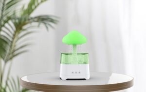 5-in-1 Bluetooth Speaker Rain Cloud Humidifier in Bangladesh