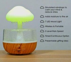 Cloud Rain Room Humidifier in Bangladesh