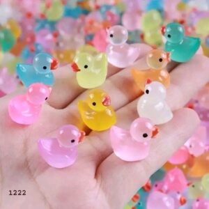 Redium duck price in bd