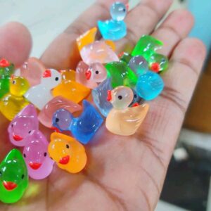 Redium duck price in bd