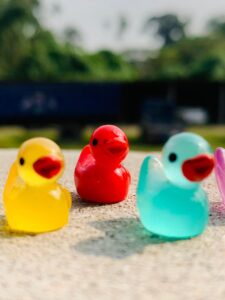 Redium duck price in bd