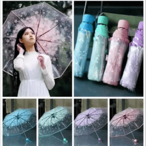 Transparent Umbrella ☂️ট্রান্সপারেন্ট ছাতা☂️