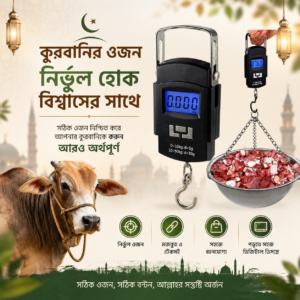 Portable Hook Weighing Machine Digital 50kg